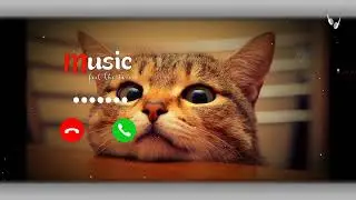 SMS RINGTONE PHONE || NOTIFICATION RINGTONE 2024 || 