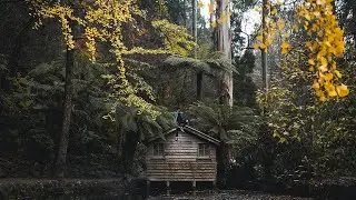 START shooting NATURE PHOTOGRAPHY! (PHOTOSHOOT + EDITING TUTORIAL)