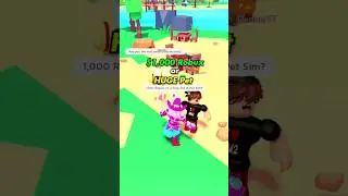 Free Huge Pet or 1,000 Robux?