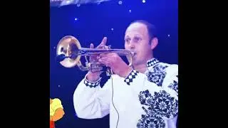 Біля річки.біля броду!!!Українська пісня!!! #shorts
