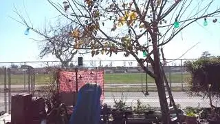 Mulberry Landslide