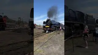 Steamrail’s R711 on a freight 