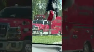 An Accident on the Road