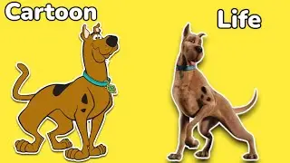 Dogs Cartoon in real life 💥 all characters 💥