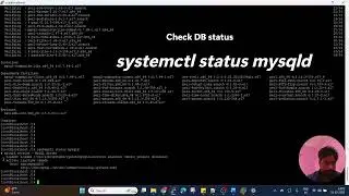 MYSQL DB status & Start Service 