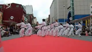 Pinan Godan – Shorin Ryu  ピンアン五段・型 小林流・空手