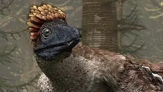 Planet dinosaur: how did microraptor ￼￼glide from trees