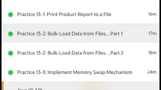 13 practicaIO API