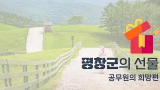 평창문화도시재단 선물 언박싱(공무원의 희망편)