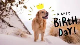 A special video for Max 🌟 | Happy Birthday Shona ❤️