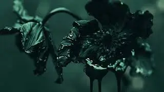 Edge of the Blade - Still Want You Back (Official Music Video)