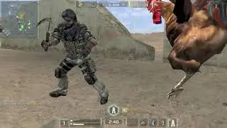 AVA 生きたにわとり in Rommel's Africa