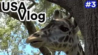 GOT SOAKED AND SAW GIRAFFES - USA Vlog #3