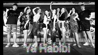 Ya habibi
