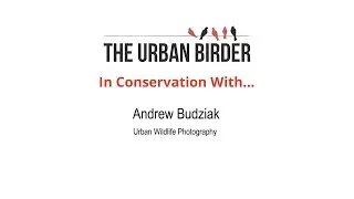 In Conservation With… Andrew Budziak