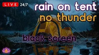 🔴 [LIVE 24/7] Rain on Tent No Thunder | Rain Ambience | Rain Sounds for Sleeping [Black Screen]