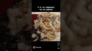 Это не живая еда! 🐙 
