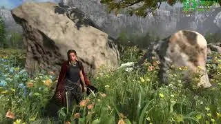 8GB VRAM issues - Forspoken