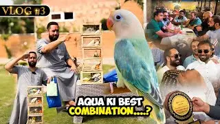Aqua Ki Best Combination...?