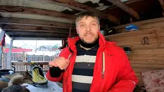 Рассказываю про Нарты, снаряжение, нагрузки для тренировки Хаски