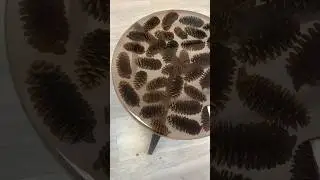 A table made of pine cones and resin, not surprising, what about you? 