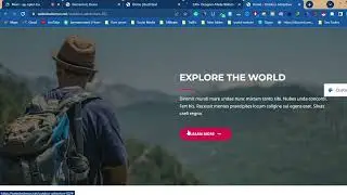 Website Design Class 8 | importent Extention , Elementor part 2