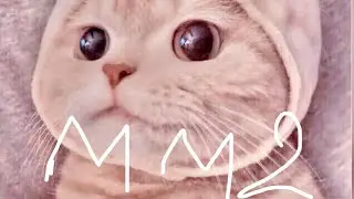 Мм2 но если я умру меняю сервер :)