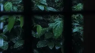 Heavy Rain and Thunder Window View | Help Study, Meditation, PTSD, Insomnia