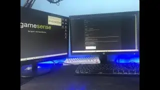 Everything I want😫 (Begging for gamesense invite)