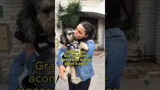 Y SI😳 #novios #trend #tiktok #viral #gracioso #amstricker #aldanastricker #tiktokvideo #tiktokviral