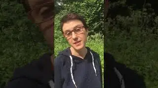 Как и зачем мы занимались геологией с детьми в школе «Песта»