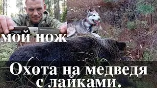 Охота на медведя с лайками. Каким ножом и рацией я пользуюсь !