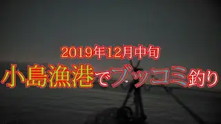 小島漁港でブッコミ釣り