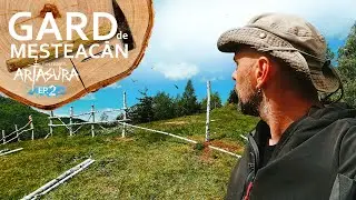 Gard de mesteacăn Ep.2 | How to build rustic pasture fence Ep.2