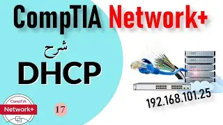 17- CompTIA Network+ | IP Address Assignment & DHCP شرح