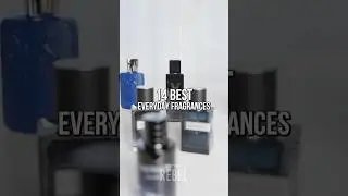 14 Best EVERYDAY FRAGRANCES For Men! Best Men’s Fragrances for Everyday Use