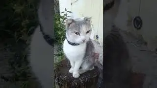 раньше я была натуральная блондинка 😏