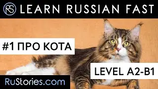 Learn Russian with short stories. Text + Audio + Eng.Subs.  Story #1. About the cat.  