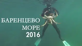 Баренцево море июнь 2016