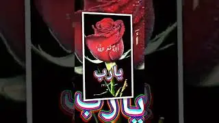 يارب