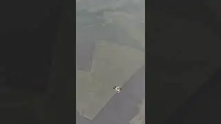 Парашютист крутит сальтухи в небе. А. Манский 