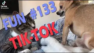 Fun #133 | Funhouse off , fails | Неудачи, приколы, смешное видео
