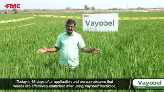 Vayobel® - ವಯೋಬೆಲ್ ® ಕಳೆನಾಶಕ ಬಳಸಿ, ಕಳೆ ಸಮಸ್ಯೆಗಳನ್ನು ತಪ್ಪಿಸಿ, ಸಮೃದ್ಧ ಫಸಲು ಪಡೆಯಿರಿ !