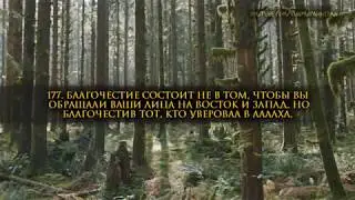 Насколько же они готовы терпеть Огонь! Сура «Корова» (170-177)