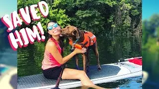Dog's First Time Standup Paddleboarding + Training Dog on Water!!