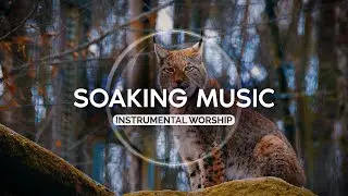 In His Presence • Calm Music • To Remain in the Glory of God