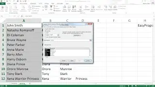 Easy Excel Tutorial - Splitting Data - Text to Columns(11)