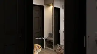 жиза?