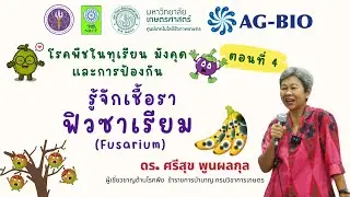 รู้จักเชื้อรา ฟิวซาเรียม (Fusarium)