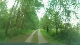 Хорошее летнее настроение #  Река Истра в Лужках и луговое разнотравье